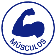 Iconos_Tablas_Mervick 2025_Mesa de trabajo 15